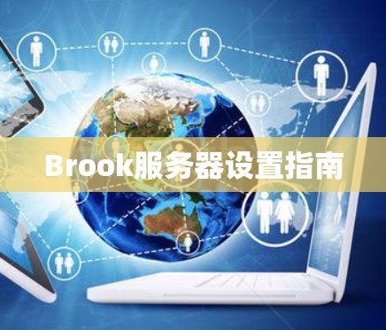 Brook服务器设置指南 Brook服务器设置指南