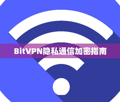 BitVPN隐私通信加密指南 BitVPN隐私通信加密指南